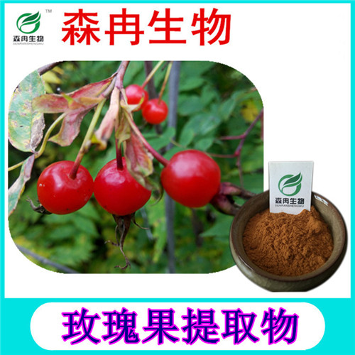 森冉生物刺玫果提取物玫瑰果提取物現(xiàn)貨熱銷(xiāo)