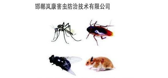 邯鄲消殺公司，邯鄲殺蟲公司，邯鄲蟲控專家公司