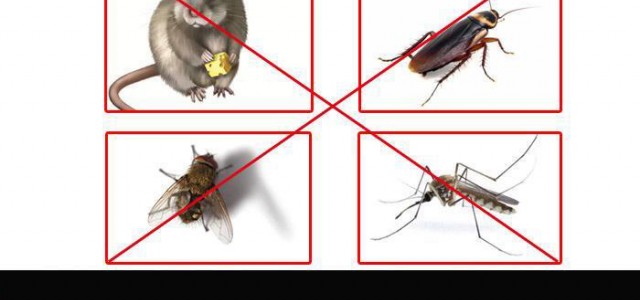 邯鄲滅蟑螂公司哪家好？哪家更專業？